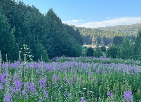 Где остановиться для катания в Мраткино